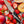 Wölfe 3.5” Paring Knife